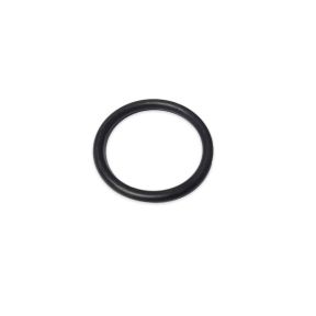 O-ring 45x5 mm za peskalnik Tesi 80/40