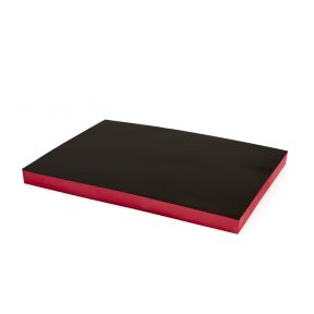 Penasti vložek za voziček 585 x 410 x 40 mm, rdeč